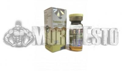 Купить Параболан Олимп