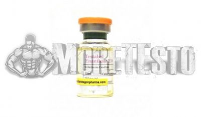 Купить Testabol Enanthate (тестостерон энантат) BD